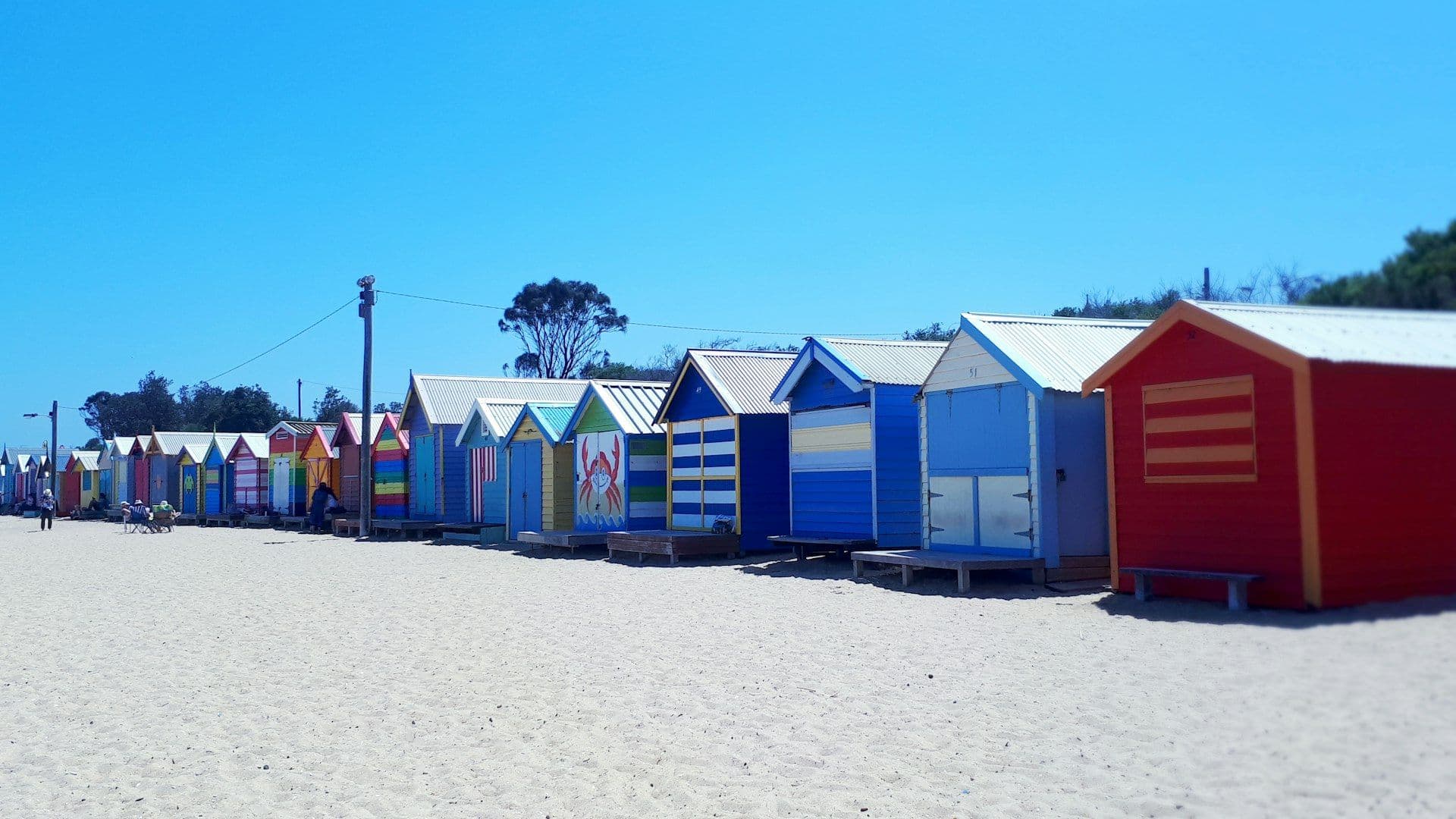 Colourful houses on the shore of Melbourne's bayside in daylight