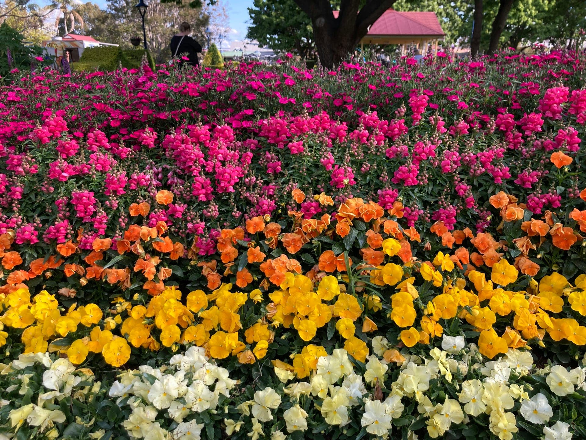 Toowoomba flower gardens