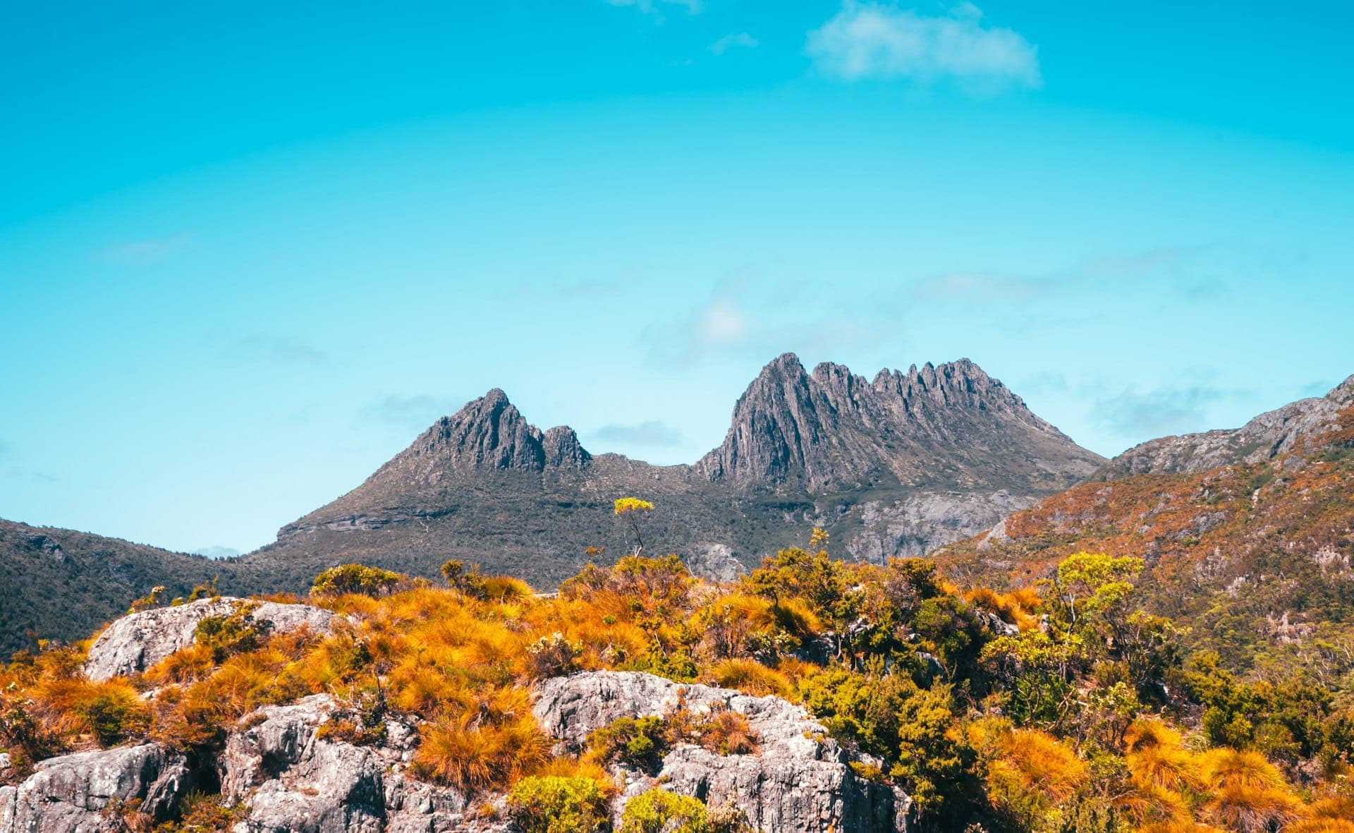 Cradle Mountain and Dove Lake, Regional Tasmania