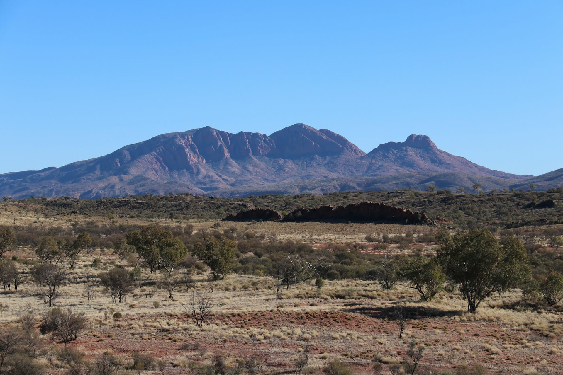 Alice Springs property market