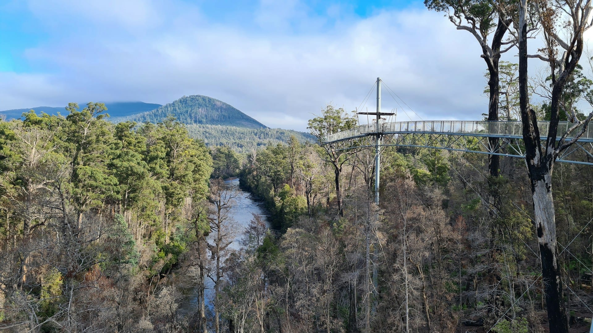 Launceston property market