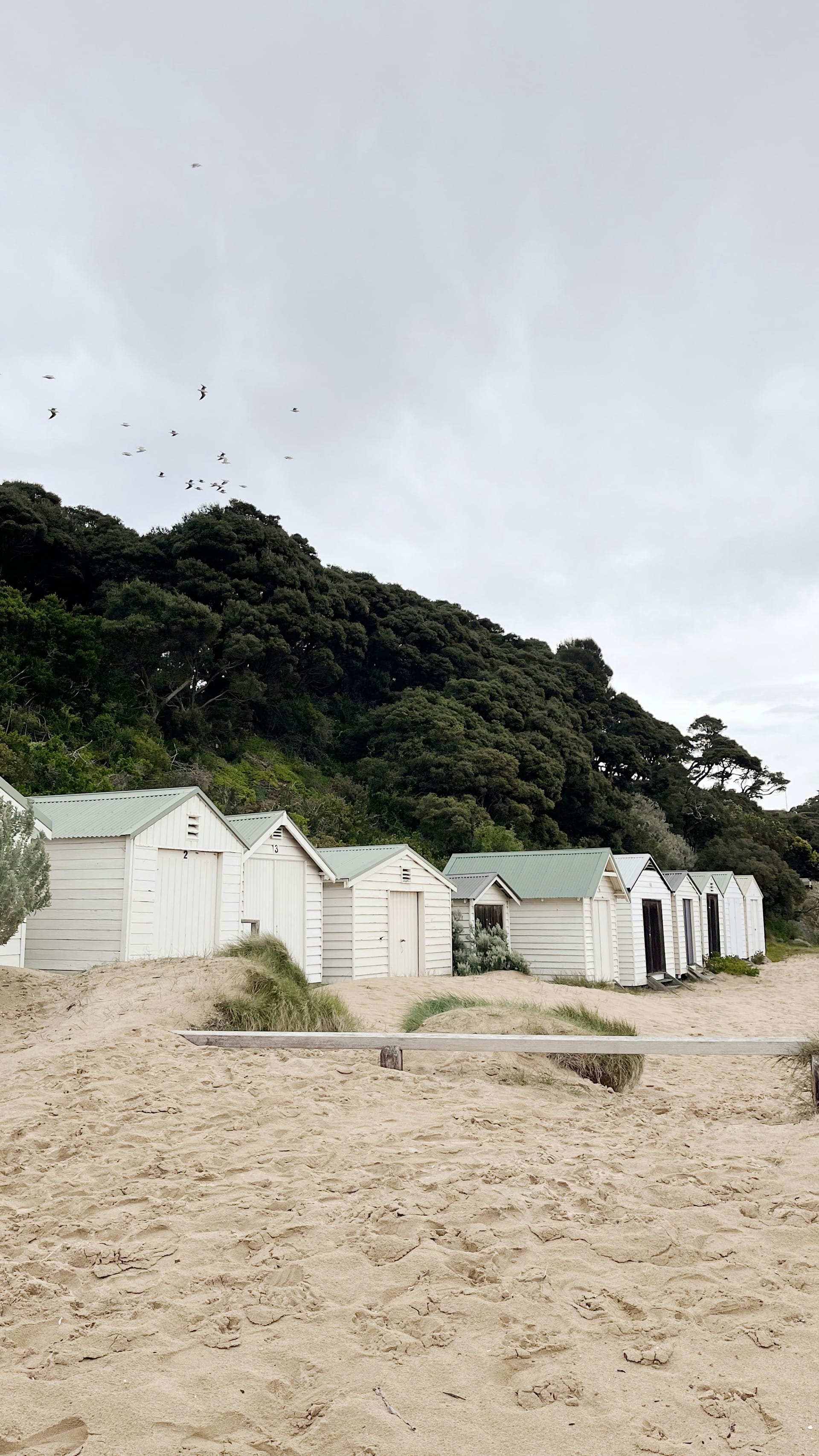 Mornington Peninsula property market