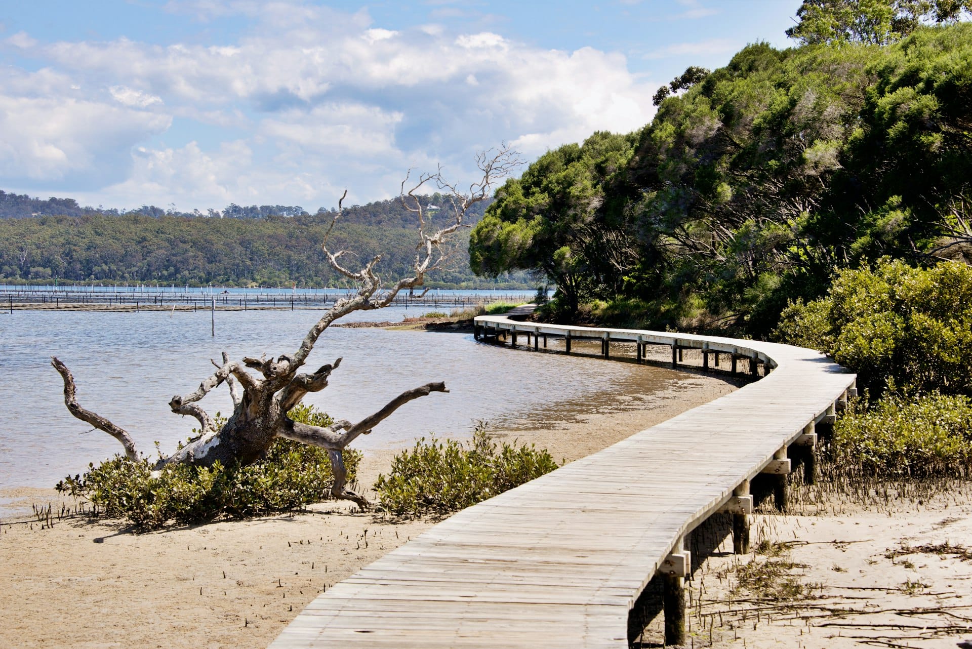 Mandurah property market