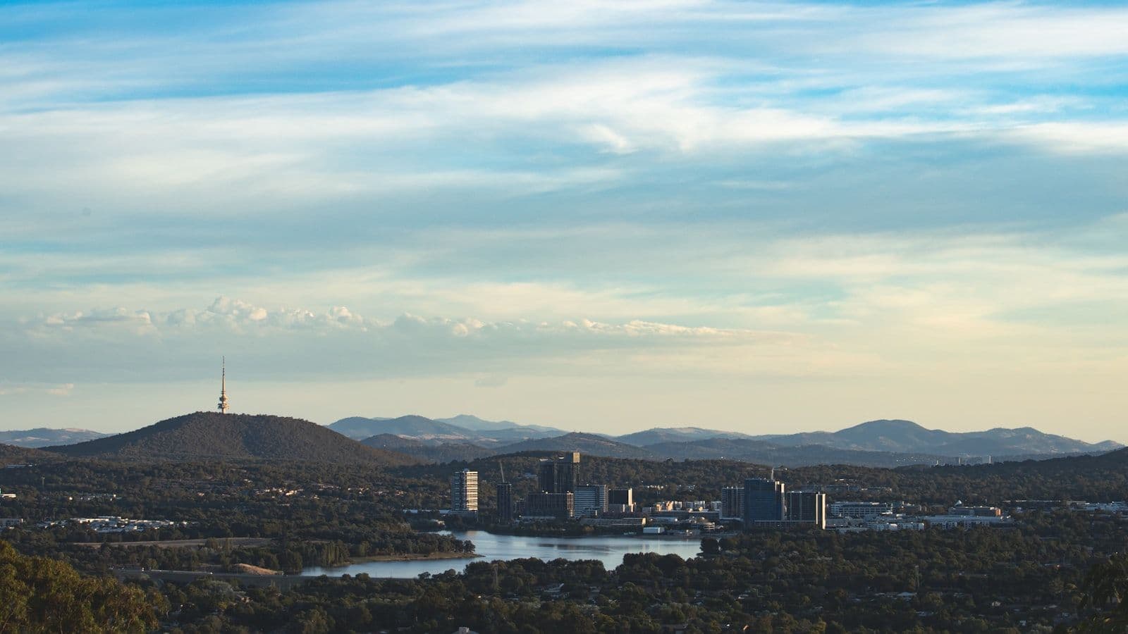 Molonglo Valley property market