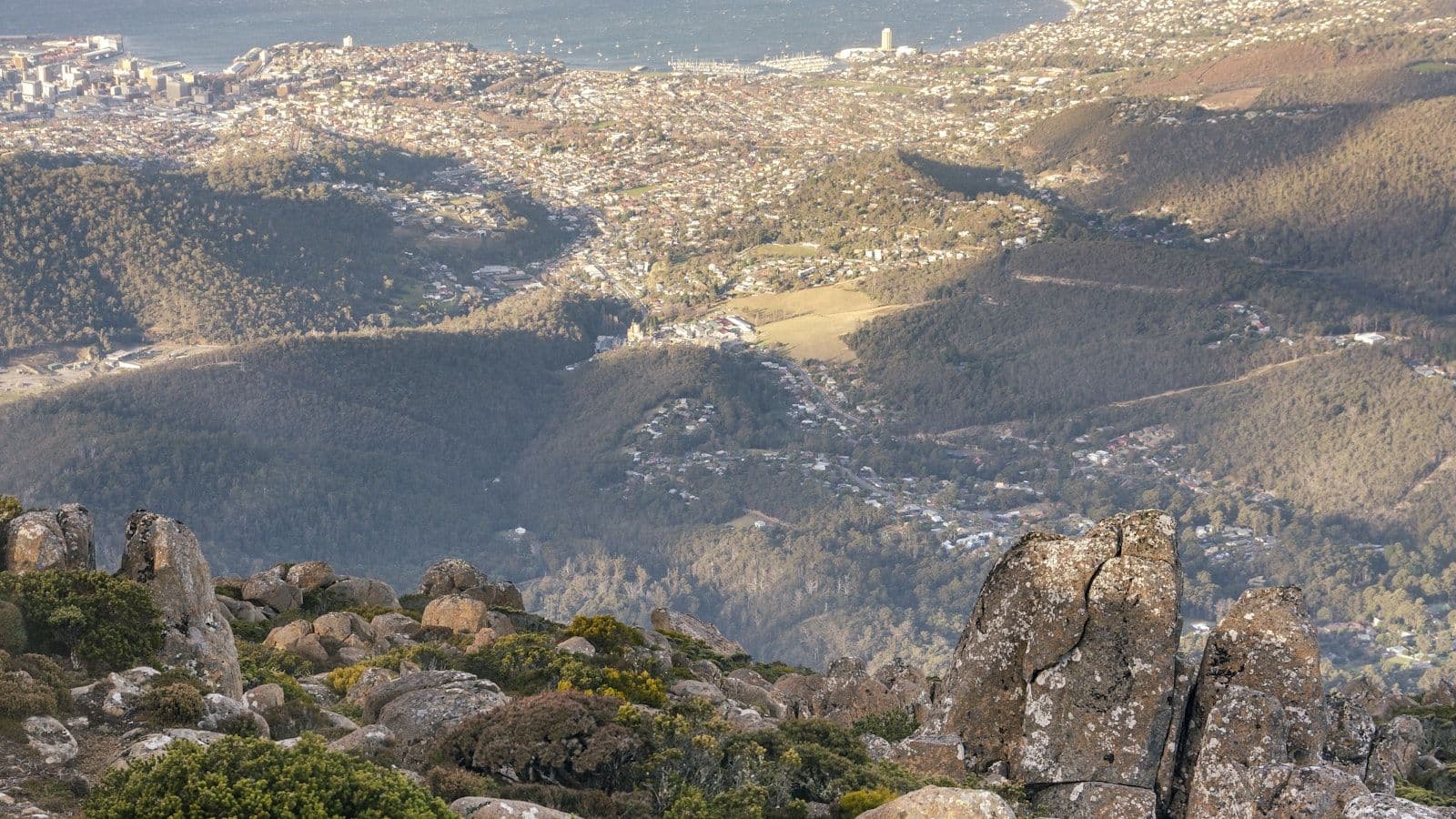 Northern Suburbs property market