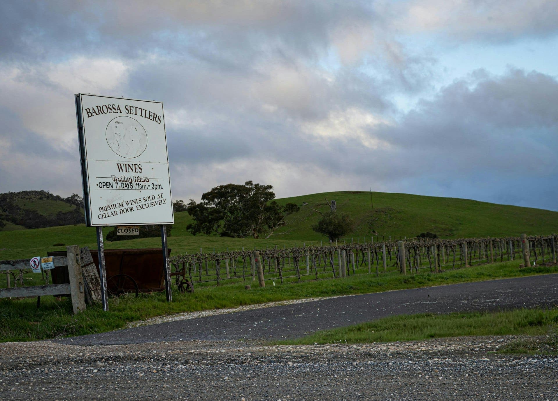 Vineyard landscape in Regional South Australia