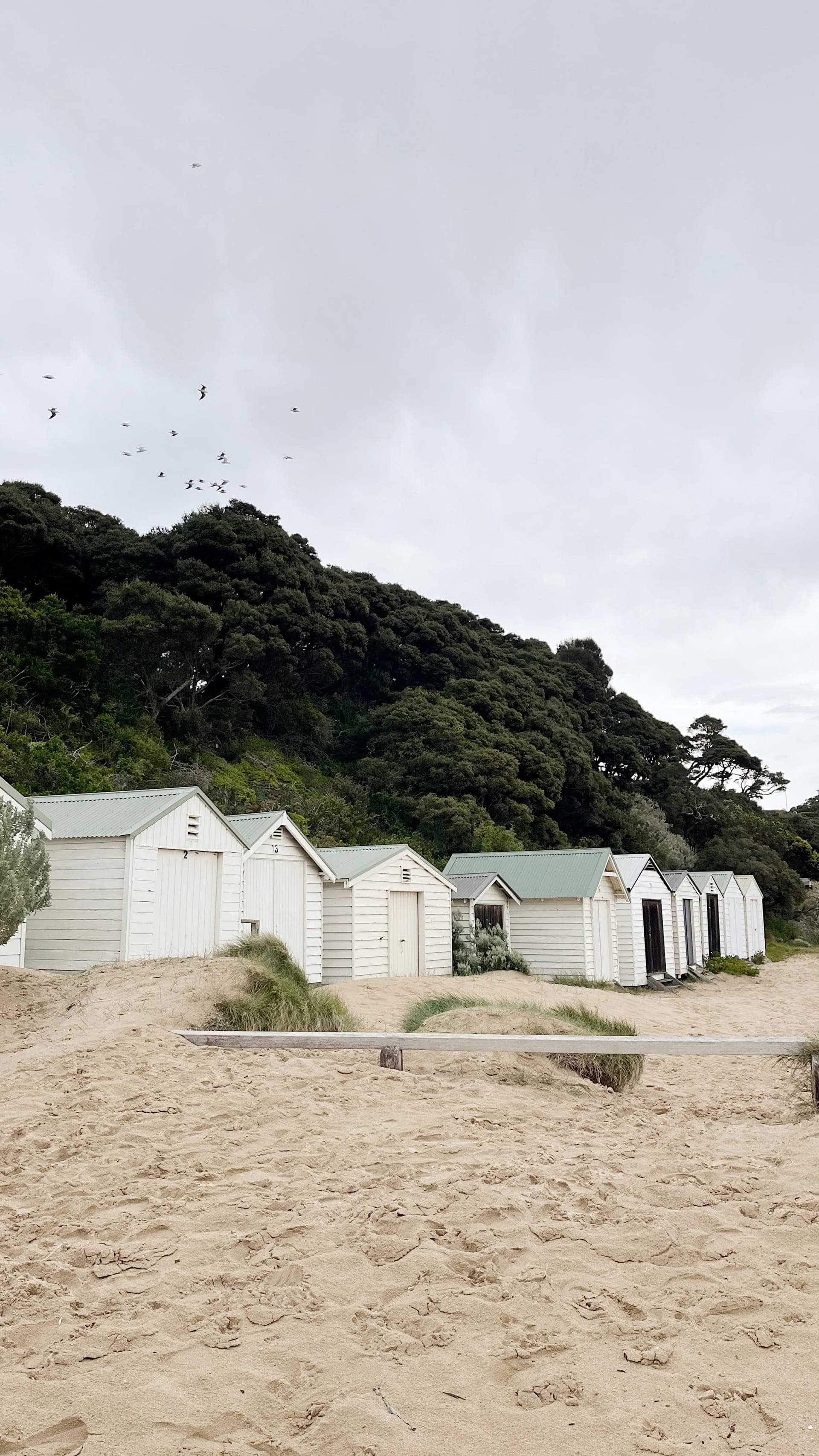 Beach huts on Mornington Peninsula