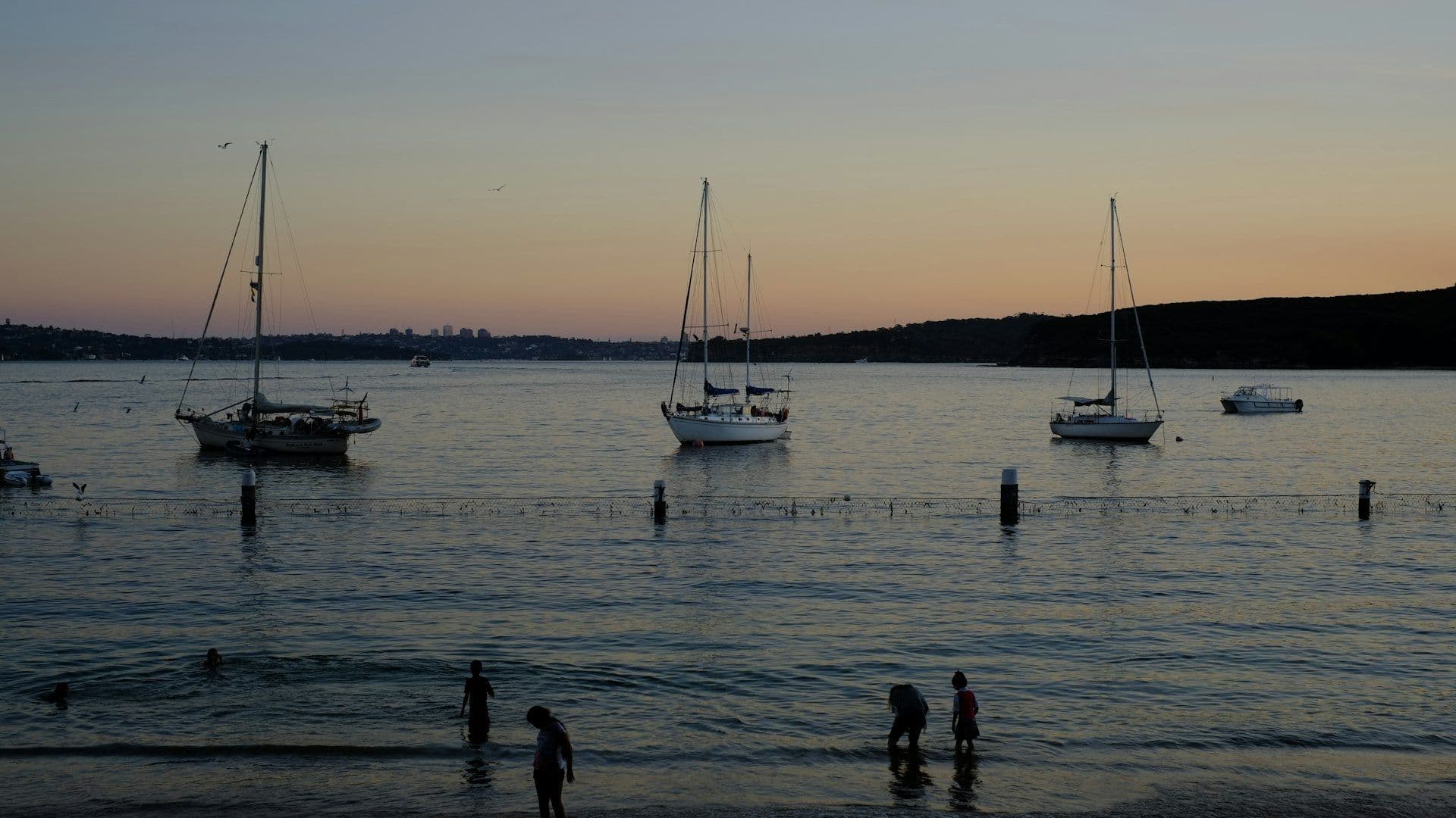 Northern Beaches property market