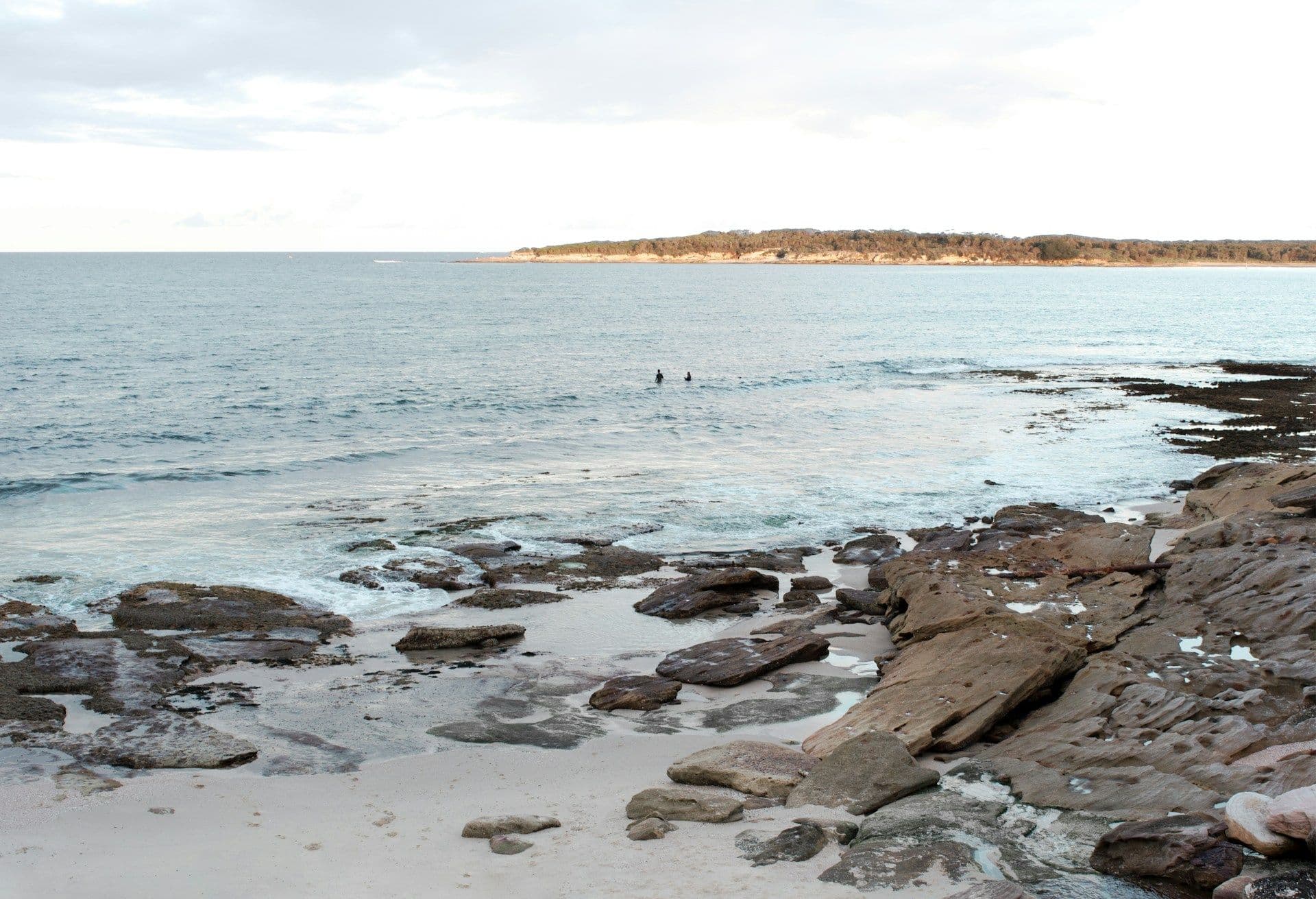 South Sydney property market