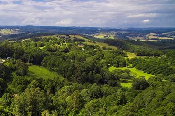 Bought Off Market - Byron Hinterland